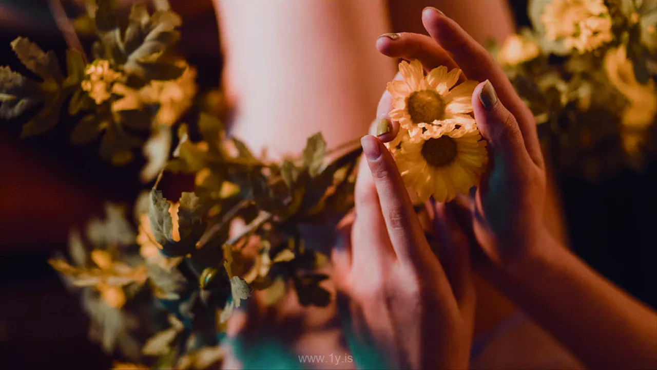 奈汐酱 VOL.02 小雏菊